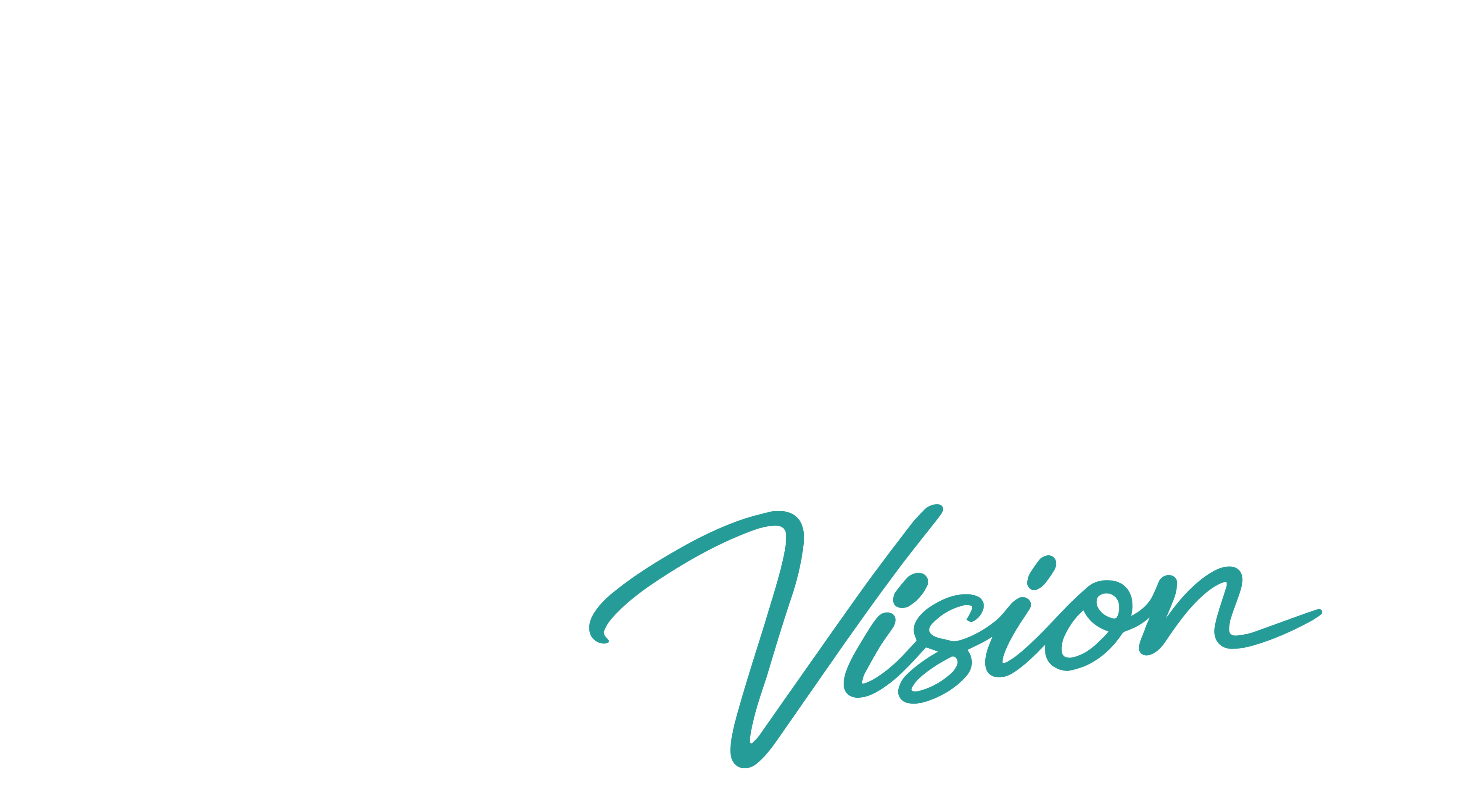 PTV Data Vision Logo